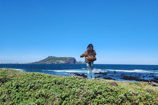 Jeju Private Half-Day Tour for Cruise Customers - The Guide Experience