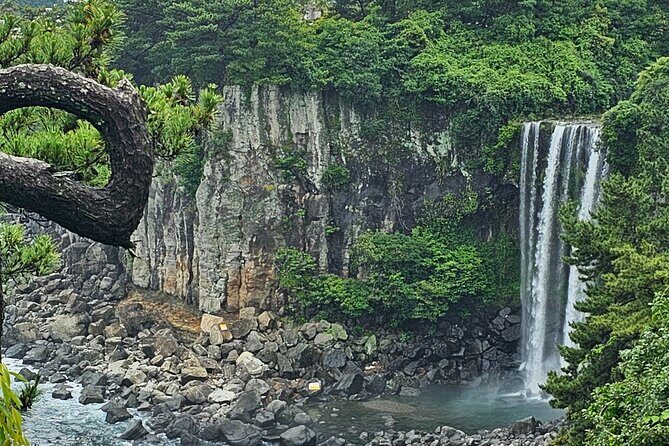 Jeju Private Tour Package-South of Jeju(Mt.Hallasan & Waterfalls) - Practical Details: What to Expect on This Tour