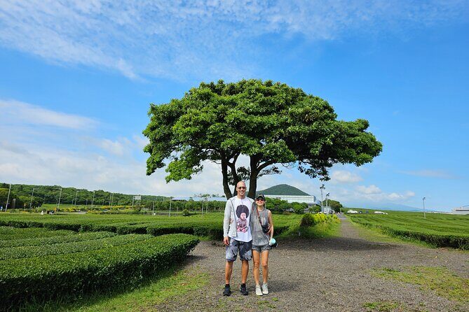Jeju Private Tour Package-South of Jeju(Mt.Hallasan & Waterfalls) - Summary: Why Choose This Tour?