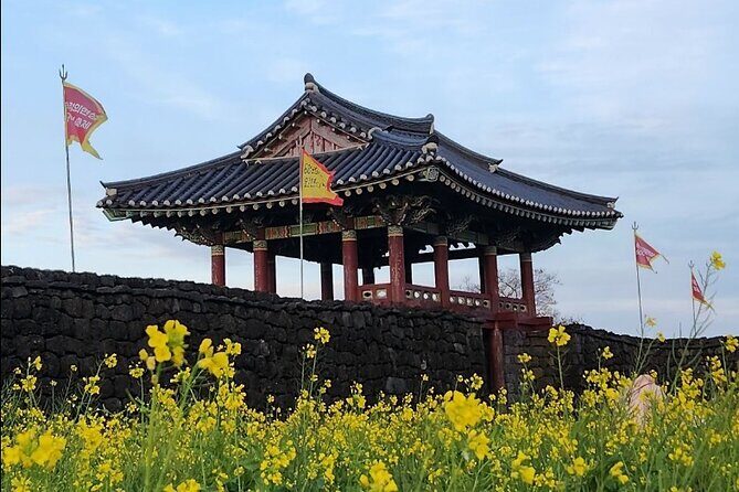 Jeju Taxi Tour KJ with Flexible scheduling - The Sum Up