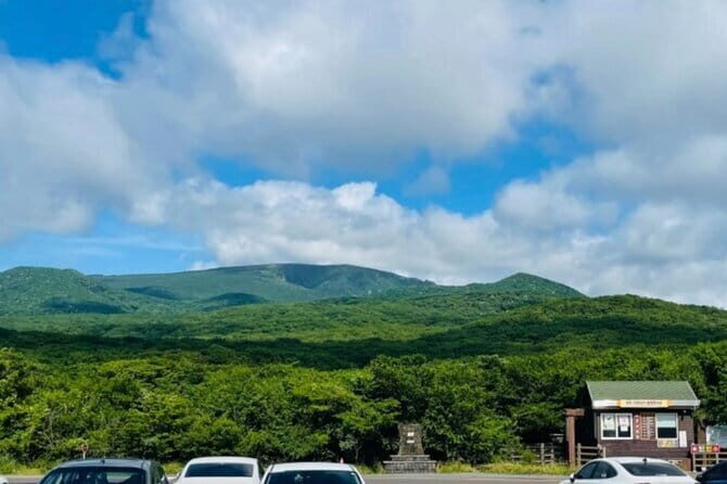 Jeju Western and Southern Routes Sightseeing Day Tour - What to Expect in Terms of Logistics and Value