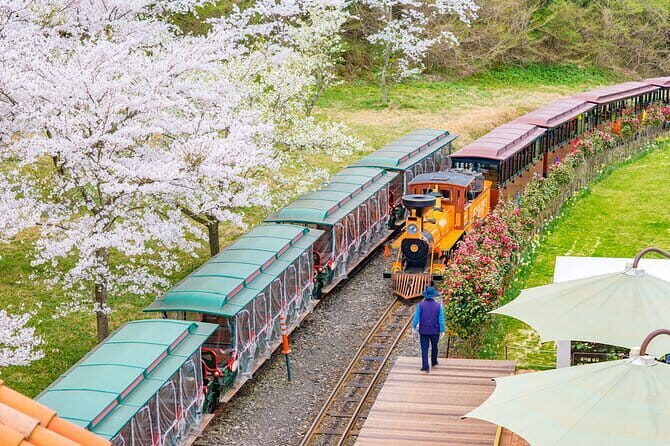 Jeju WEST&SOUTH One Day Tour with MT.halla & Aewol - Authentic Experiences and Traveler Feedback