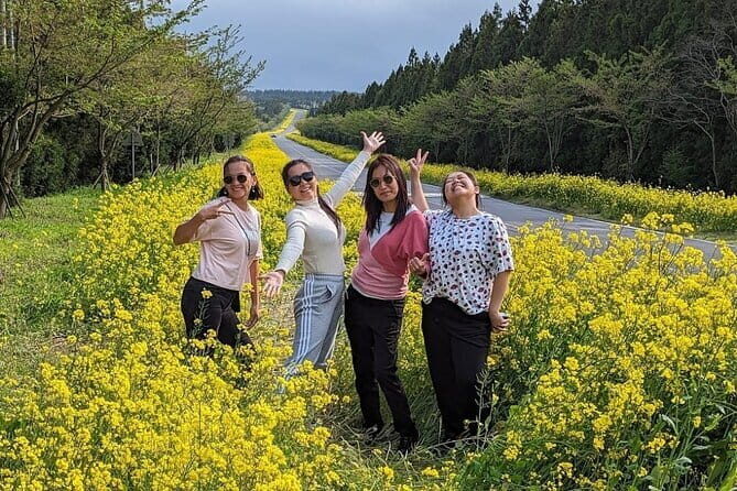 Jeju WEST&SOUTH One Day Tour with MT.halla & Aewol - Final Thoughts: Is This Tour Right for You?
