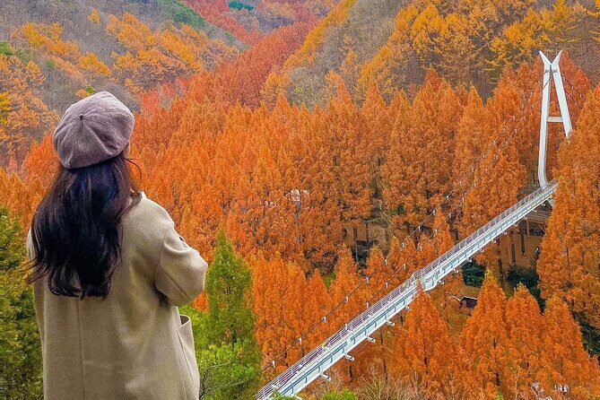 Jeonju Hanok Village and Jangtaesan Nature Tour - Authentic Feedback and Varied Experiences