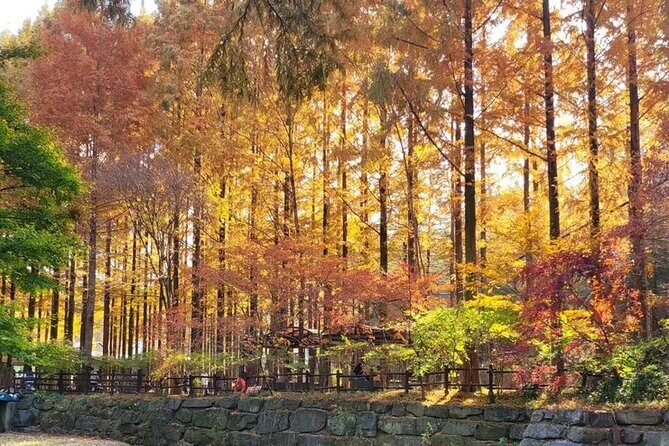Jeonju Hanok Village and Jangtaesan Nature Tour - Final Thoughts: Is This Tour for You?