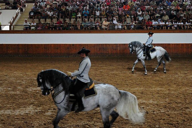 Jerez and Cadiz, with Horse Ballet and Sherry Tasting Full-day from Seville - Transportation and Group Dynamics