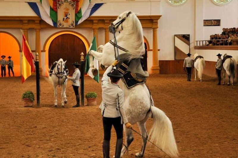 Jerez, Bodega Tío Pepe y Real Escuela de Arte Ecuestre - Introduction