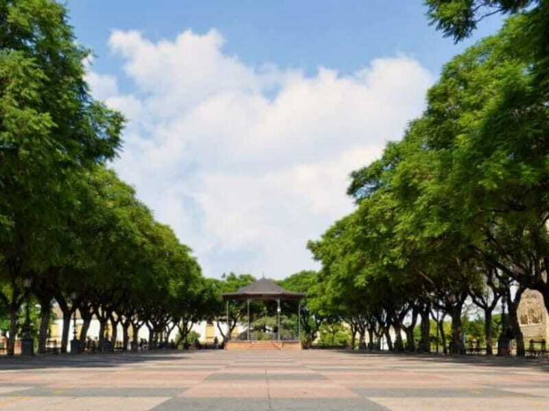 Jerez City Guided Tour and Winery Visit - The Winery Experience – More Than Just Tasting