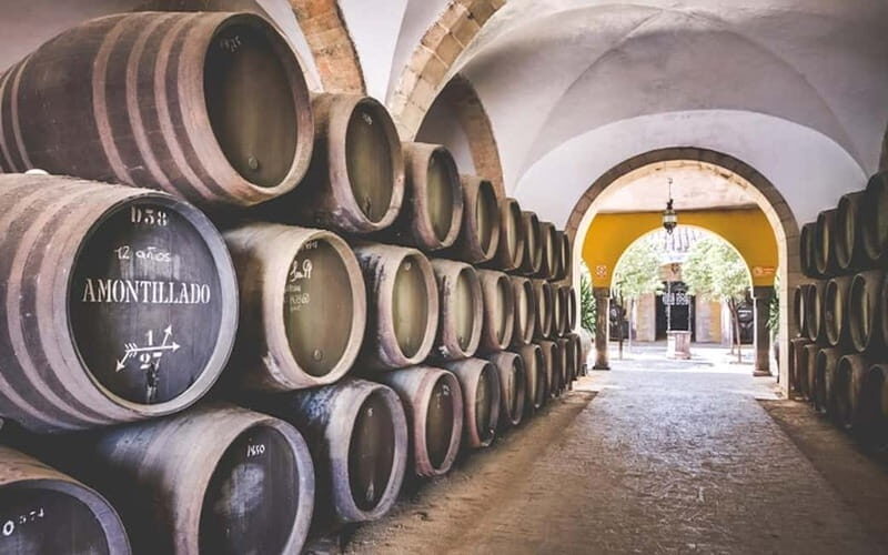 Jerez City Guided Tour and Winery Visit - Who Is This Tour Best For?