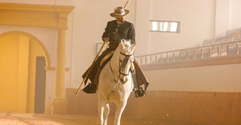 Jerez de la Frontera: How the Andalusian Horses Dance - Key Points