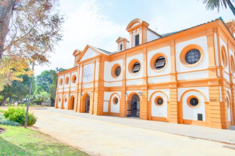 Jerez de la Frontera: How the Andalusian Horses Dance - What to Expect from the Show