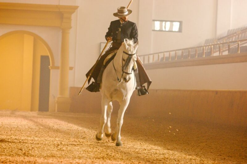 Jerez de la Frontera: How the Andalusian Horses Dance - Authenticity & Tips for Visitors