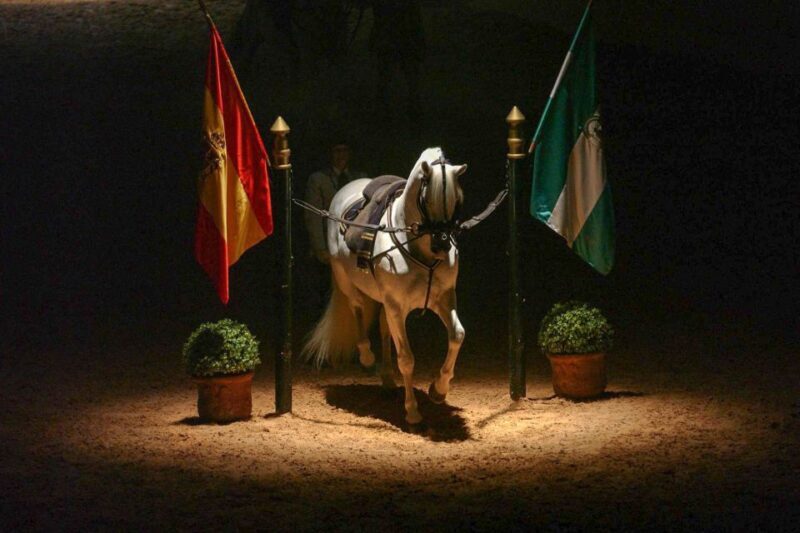 Jerez de la Frontera: How the Andalusian Horses Dance - Who Should Visit This Show?