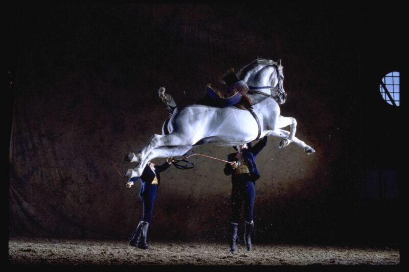Jerez de la Frontera: How the Andalusian Horses Dance - FAQ