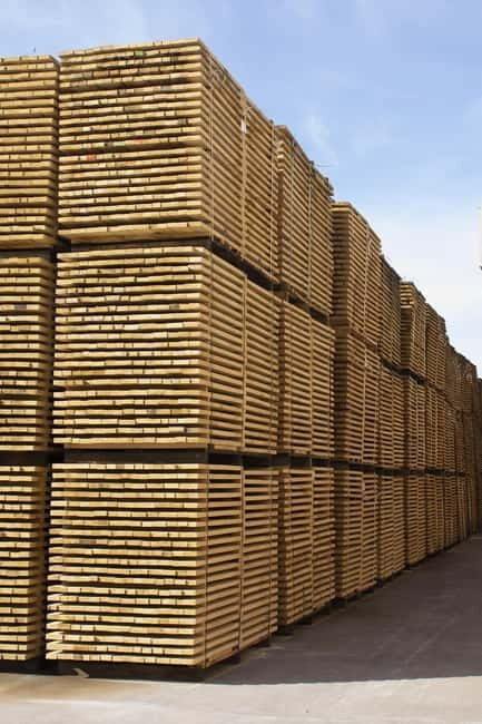 JEREZ DE LA FRONTERA: PREMIUM GUIDED TOUR TO THE COOPERAGE - Key Points