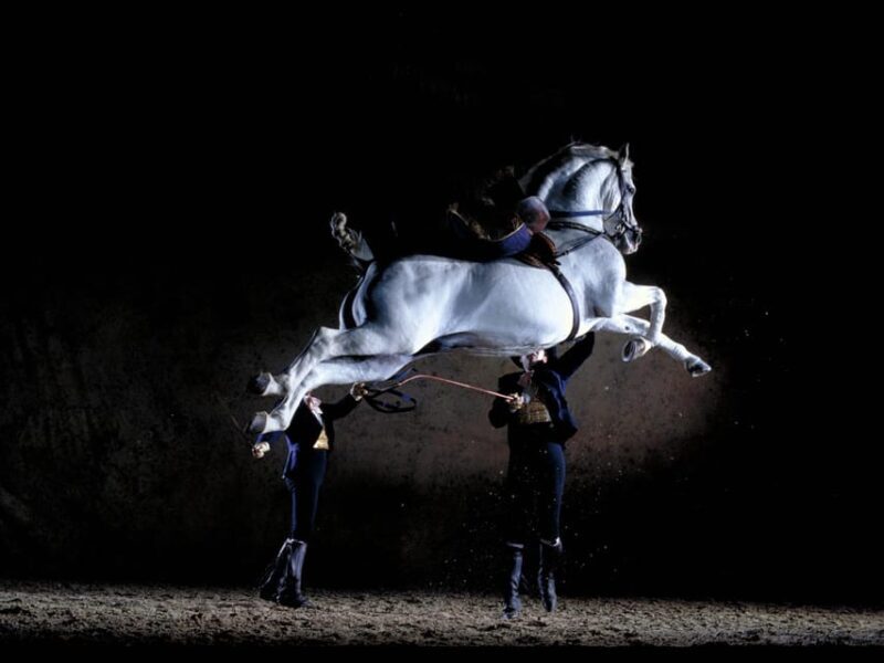 Jerez: Historic center of Jerez and horse show - Jerez: Historic Center of Jerez and Horse Show – A Detailed Review