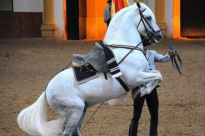 Jerez Historic Guided Tour with Horse Show - A Deep Dive into the Jerez Experience