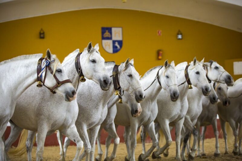 Jerez: Yeguada de la Cartuja Carthusian Horses Tour - Key Points