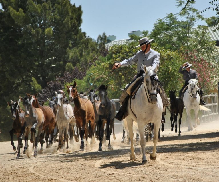 Jerez: Yeguada de la Cartuja Carthusian Horses Tour - FAQs