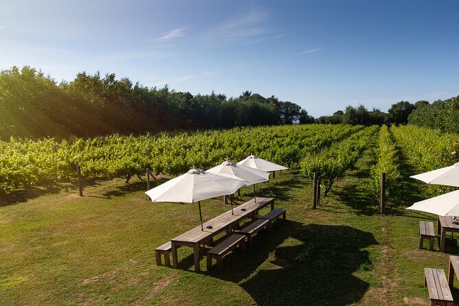 Jersey Premium Vineyard and Distillery Wine Tour and Tasting - FAQs