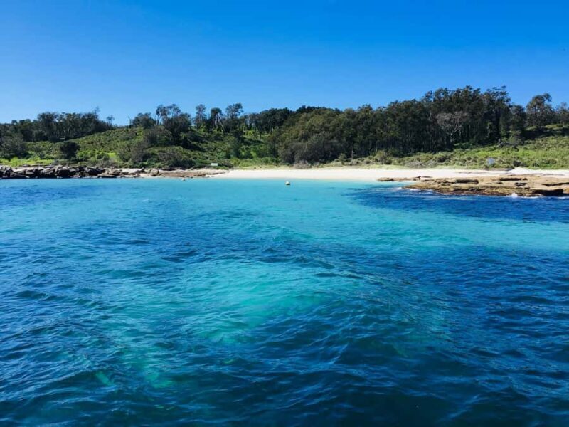 Jervis Bay: 2-Hour Cruise of Jervis Bay Passage - Authentic Feedback from Travelers