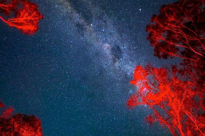 Jervis Bay Beach Stargazing Tour with our Astronomer - FAQ
