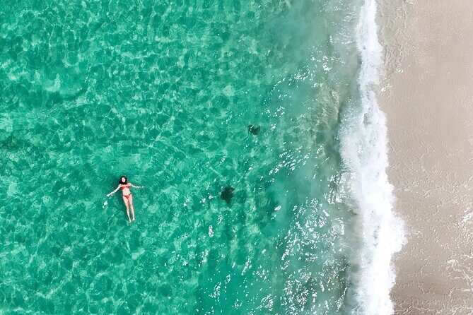 Jervis Bay Highlights Tour  Small Group Experience Scenic Coast - Practical Details and Tips