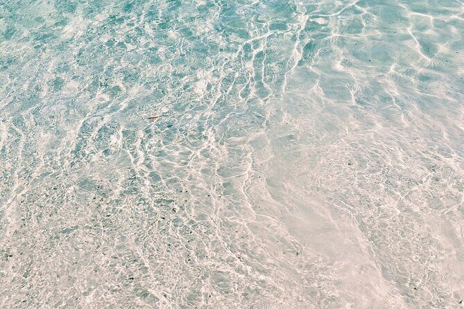 Jervis Bay, Kiama & Kangaroo Valley Day Trip From Sydney-PVT - Flexibility and Customization