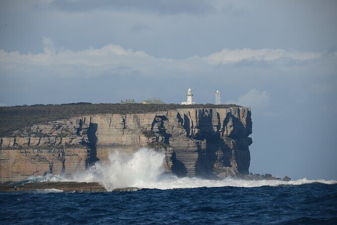 Jervis Bay Passage Tour - Why the Jervis Bay Passage Tour Stands Out
