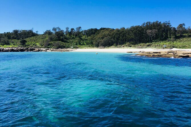 Jervis Bay Passage Tour - The Experience: A Closer Look at the Highlights