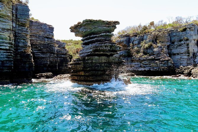 Jervis Bay Passage Tour - Final Thoughts: Is It Worth It?