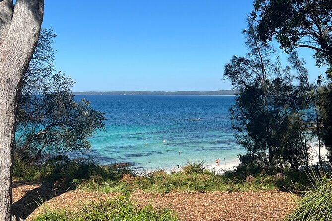Jervis Bay Private Tour & Pick up & Drop off - Key Points