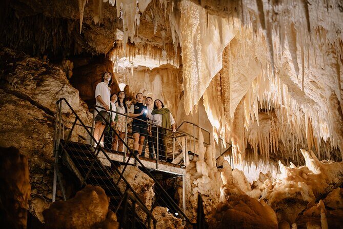 Jewel Cave Fully-guided Tour (Located in Western Australia) - Introduction to Jewel Cave’s Allure