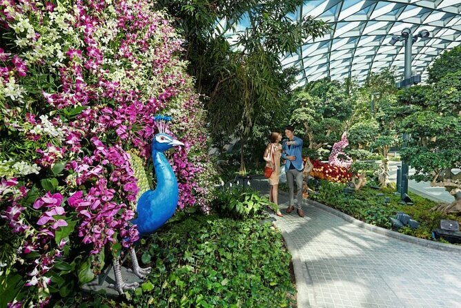 Jewel Changi Airport: Walking Net + Complimentary Canopy Park - Who Should Consider This Experience?