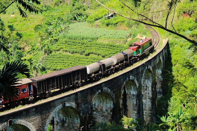 Jewels of Sri Lanka (16 Days) - Who Is This Tour Best For?
