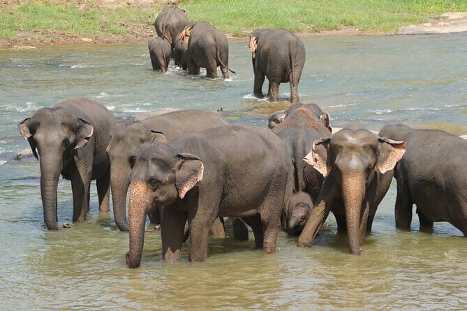 Jewels of Sri Lanka (16 Days) - FAQ
