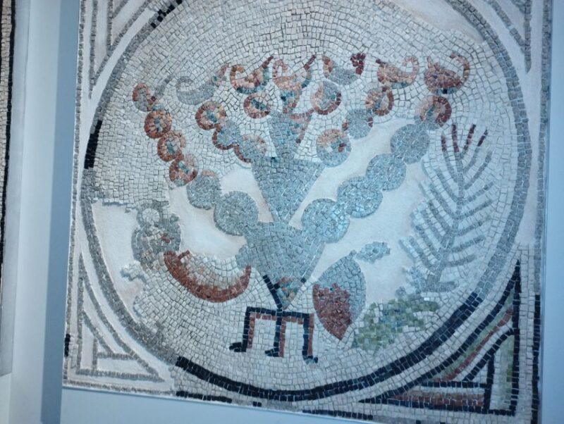 Jewish Bologna and Modena or Ferrara - An In-Depth Look at the Tour Experience