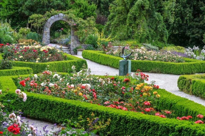 Jewish History Vancouver Oakridge Private Walking Tour - Analyzing the Value and Experience