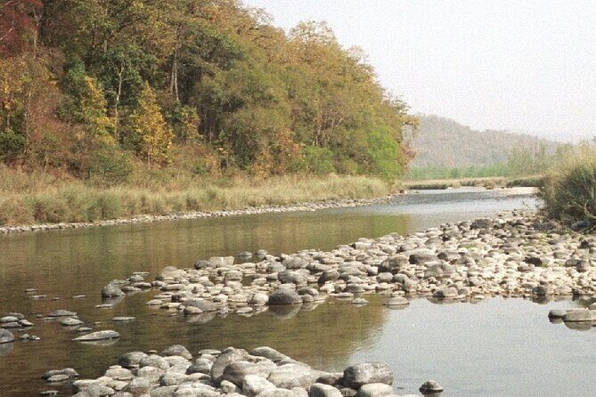 Jim Corbett with Nanital Tour - An Overview of the Itinerary