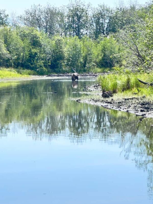 Jim Lake: Discover Kayaking Guided Tour - Key Points