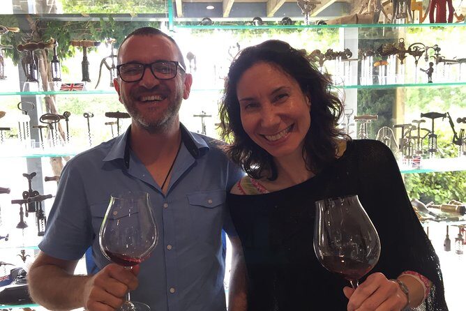 Jimmys Classic Marlborough Wine tours - An In-Depth Look at Jimmy’s Marlborough Wine Tour