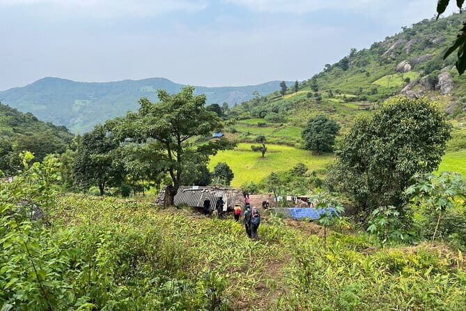Jindhagada Trek - An In-Depth Look at the Jindhagada Trek Experience