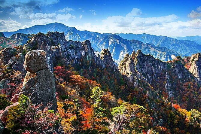 Jinhae Cherry Blossom-Yeojwacheon & Gyeonghwa St. Tour from Seoul - Is This Tour Right for You?