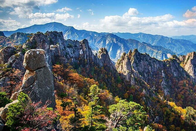 Jinhae Cherry Blossom-Yeojwacheon & Gyeonghwa St. Tour from Seoul - FAQ
