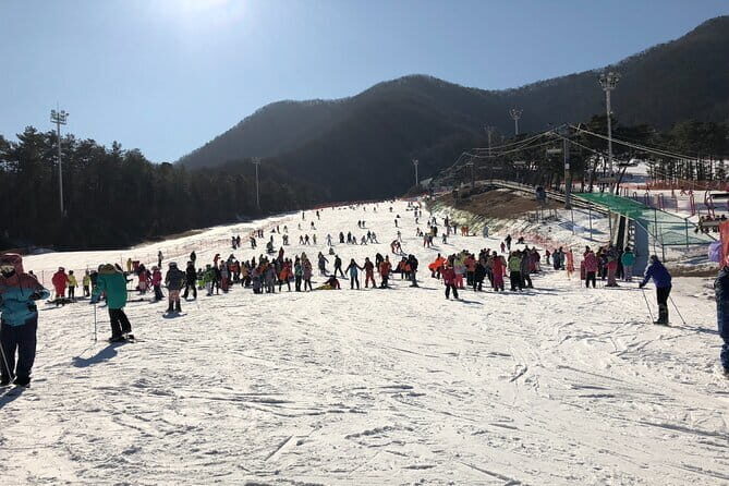 Jisan Forest Ski Resort and Everland 1 Day Tour - Who Is This Tour Best For?