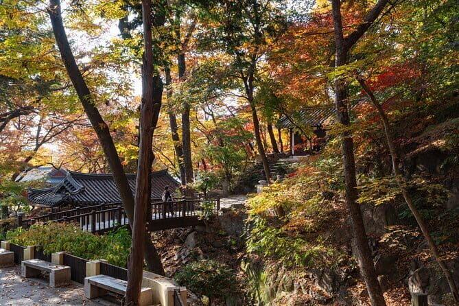 Jisan Forest Ski Resort and Everland 1 Day Tour - Frequently Asked Questions