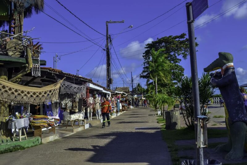 Joao Pessoa Northern Coast Beaches Day Tour - Beaches of Camboinha and Formosa