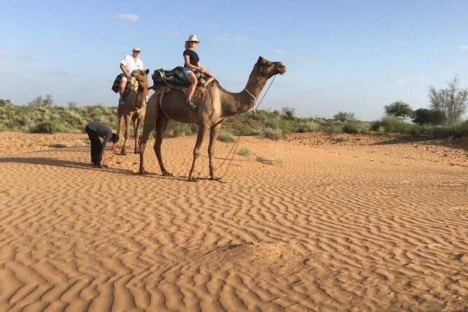 Jodhpur Camel Safari & Jeep Safari In Desert Jodhpur SR - A Journey into Desert Rajasthan: What to Expect