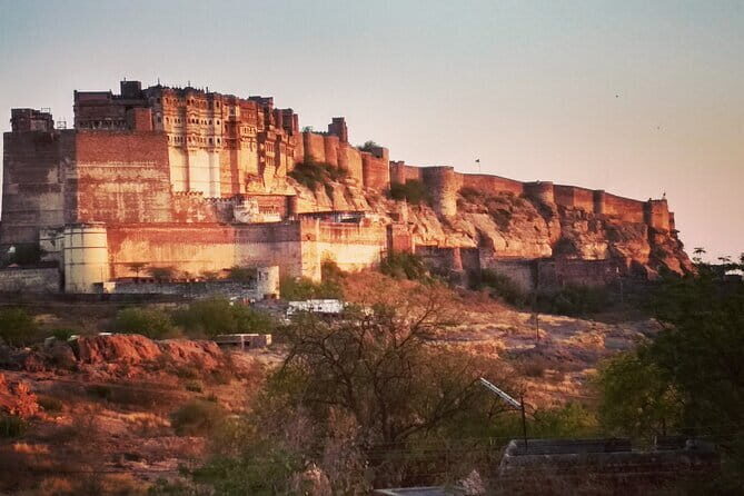 Jodhpur Walk With Kuku - Umaid Bhawan Palace Museum