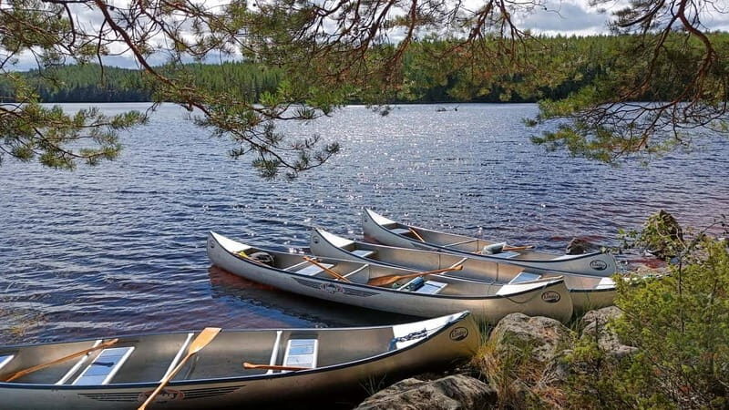 Johannisholm: Guided Canoe Tour on Lake Venjanssjön - An In-Depth Look at the Canoe Tour Experience